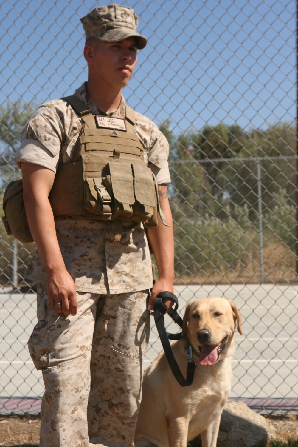 Dog detects IEDs in training