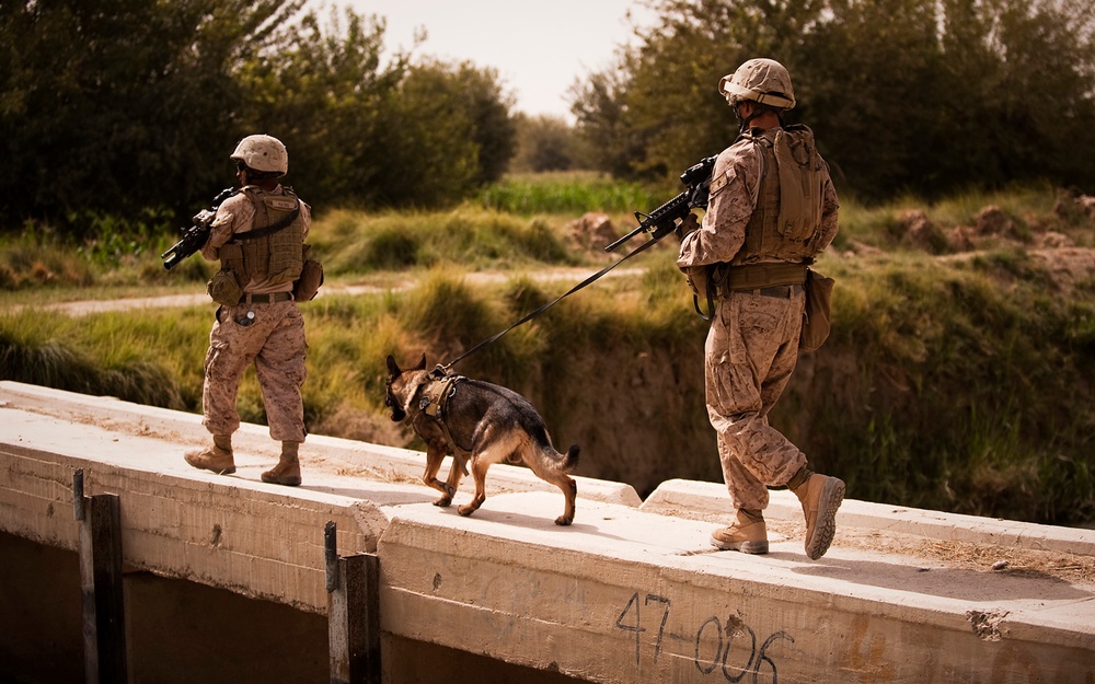 Marines Investigate IED Blast Site, Provide Support for Comrades