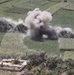 India Battery performs combat gardening