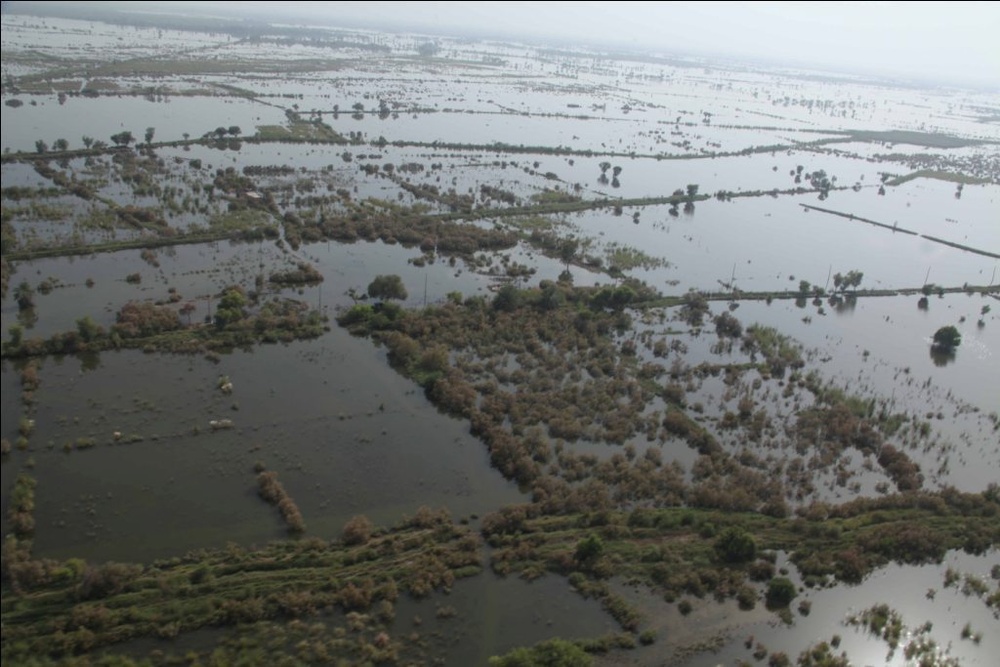 Pakistan Disaster Relief