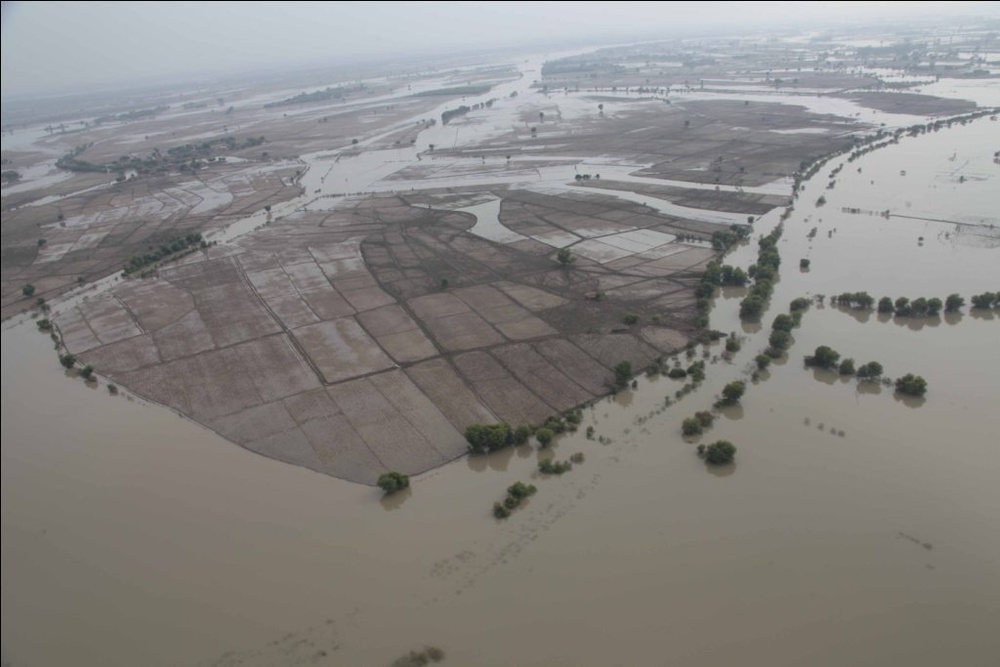 Pakistan Disaster Relief