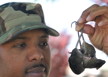 Air Guard Exterminator Handles Pests