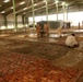 Pakistan Disaster Relief