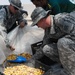 Soldiers help Iraqi citizens harvest dates on Camp Ramadi