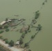 Pakistan Disaster Relief