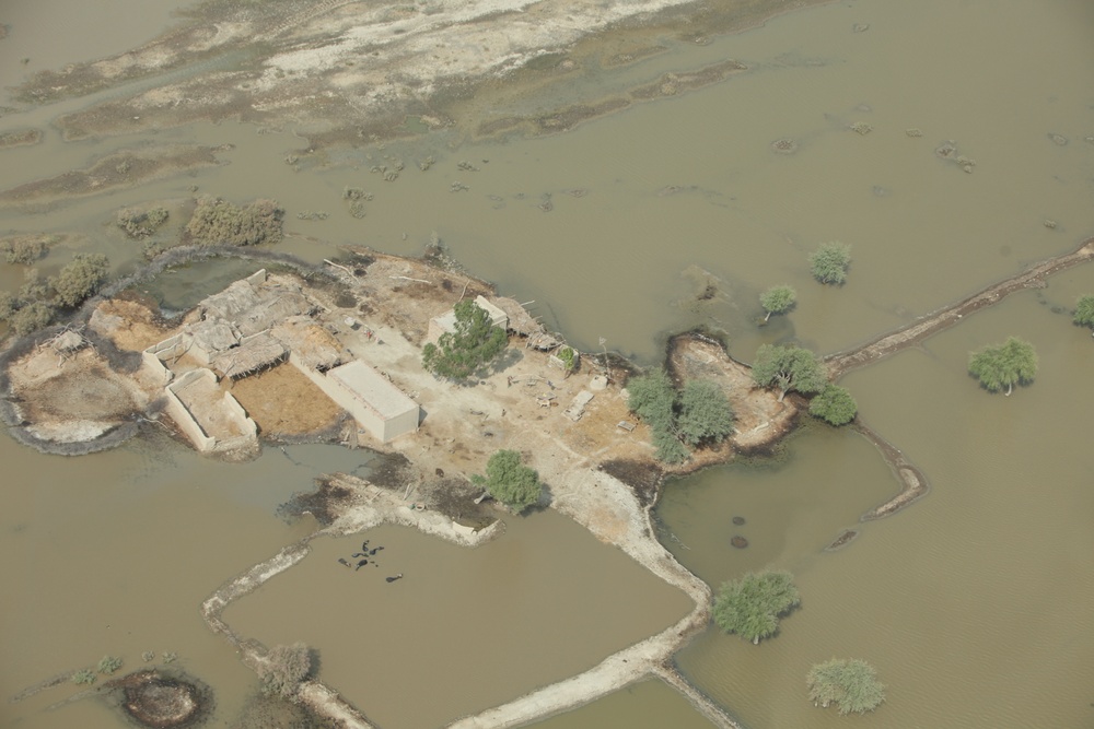 Pakistan Disaster Relief