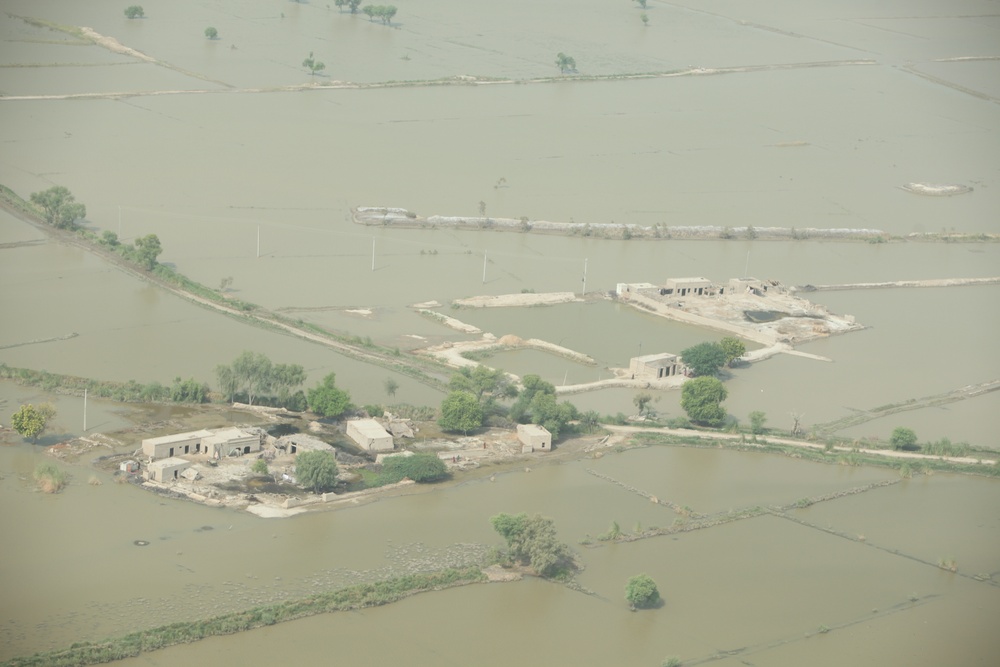 Pakistan Disaster Relief