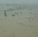Pakistan Disaster Relief