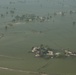 Pakistan Disaster Relief