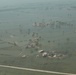 Pakistan Disaster Relief