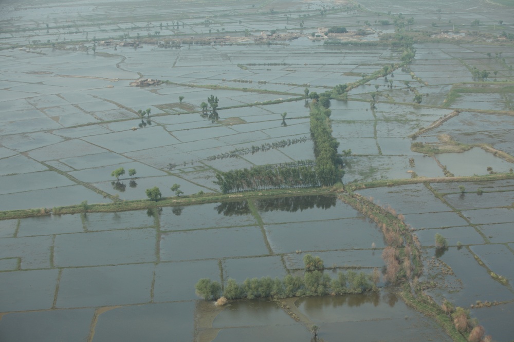 Pakistan Disaster Relief
