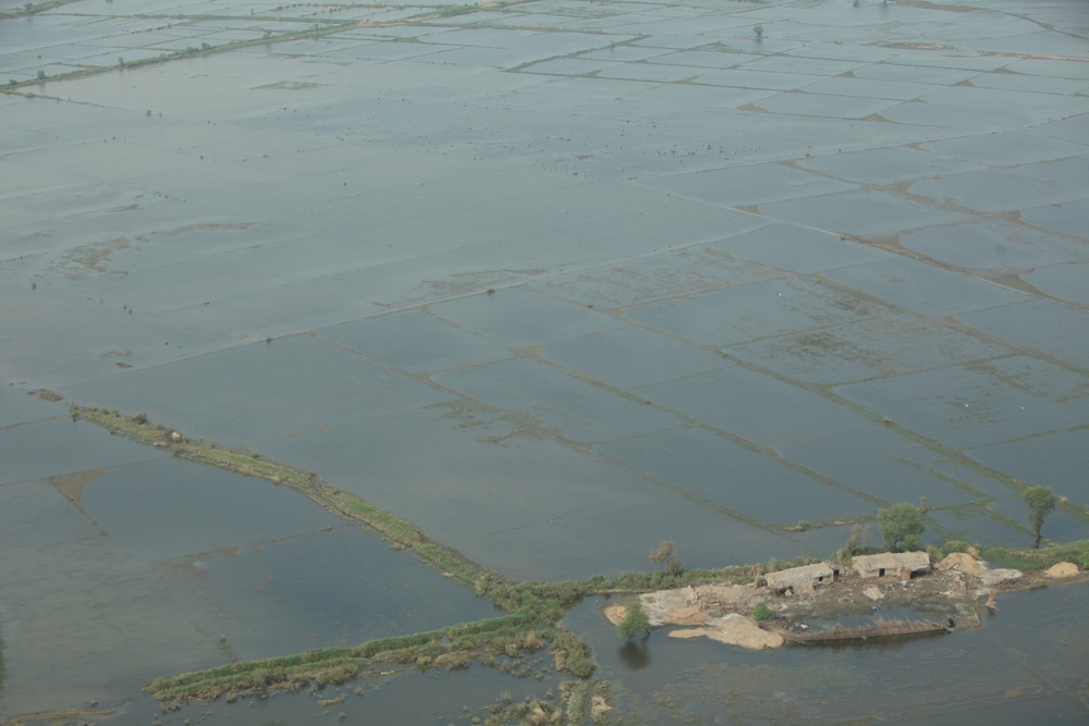 Pakistan Disaster Relief