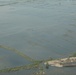 Pakistan Disaster Relief