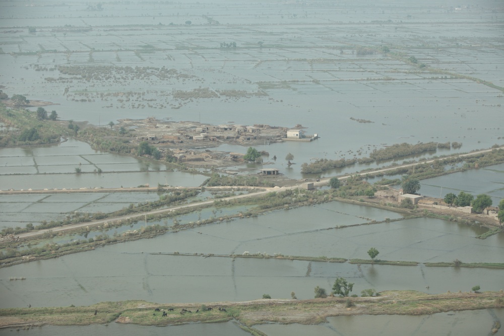 Pakistan Disaster Relief
