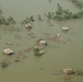 Pakistan Disaster Relief