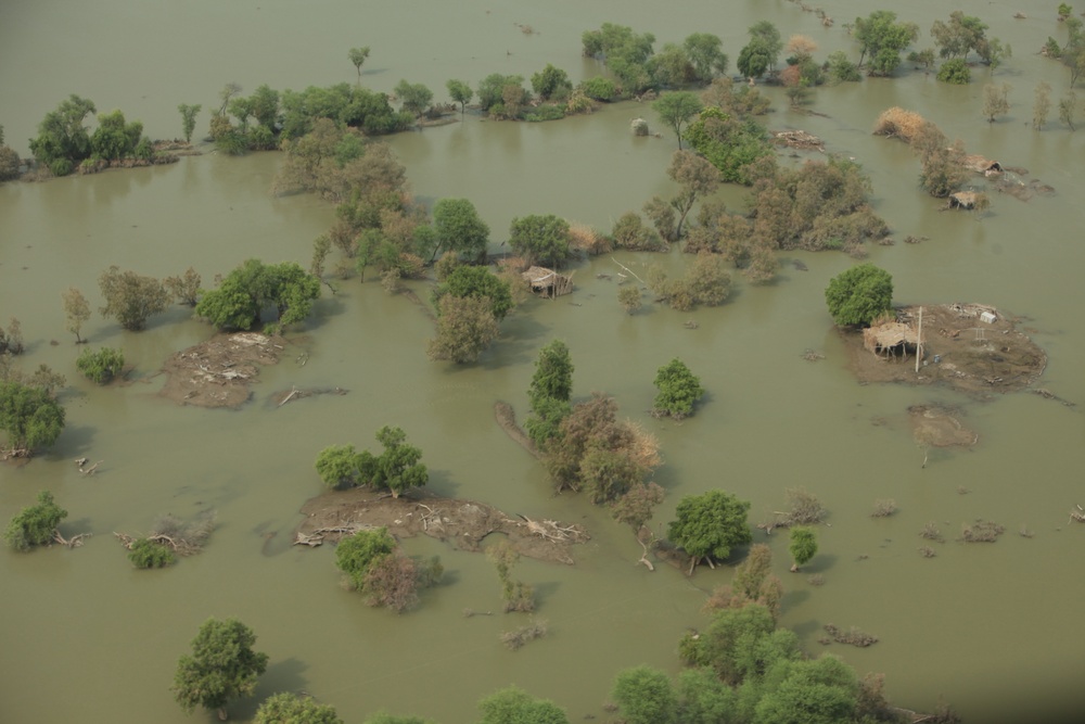 Pakistan Disaster Relief
