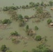 Pakistan Disaster Relief