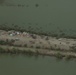 Pakistan Disaster Relief