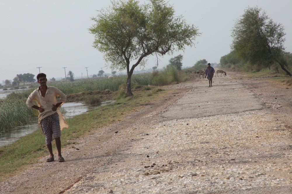 Pakistan Disaster Relief