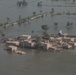 Pakistan Disaster Relief