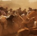 Pakistan Disaster Relief