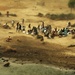 Pakistan Disaster Relief
