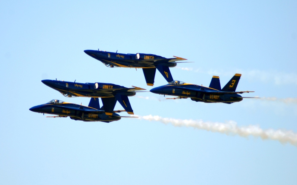 Naval Air Station Oceana Air Show 2010