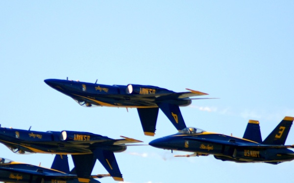 Naval Air Station Oceana Air Show 2010