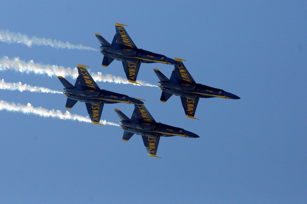 Naval Air Station Oceana Air Show 2010