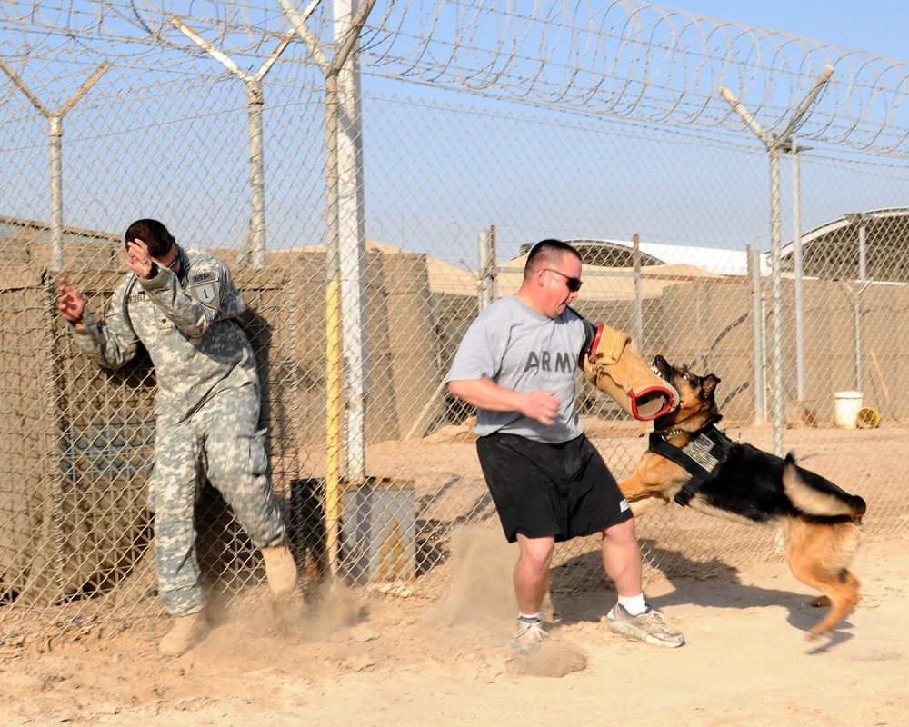 Dogs are Soldiers, too