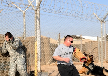 Dogs are Soldiers, too