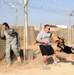 Dogs are Soldiers, too