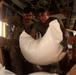 Pakistan Disaster Relief