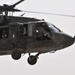 101st Combat Aviation Blackhawk