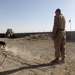 Devil dogs help sniff out IEDs