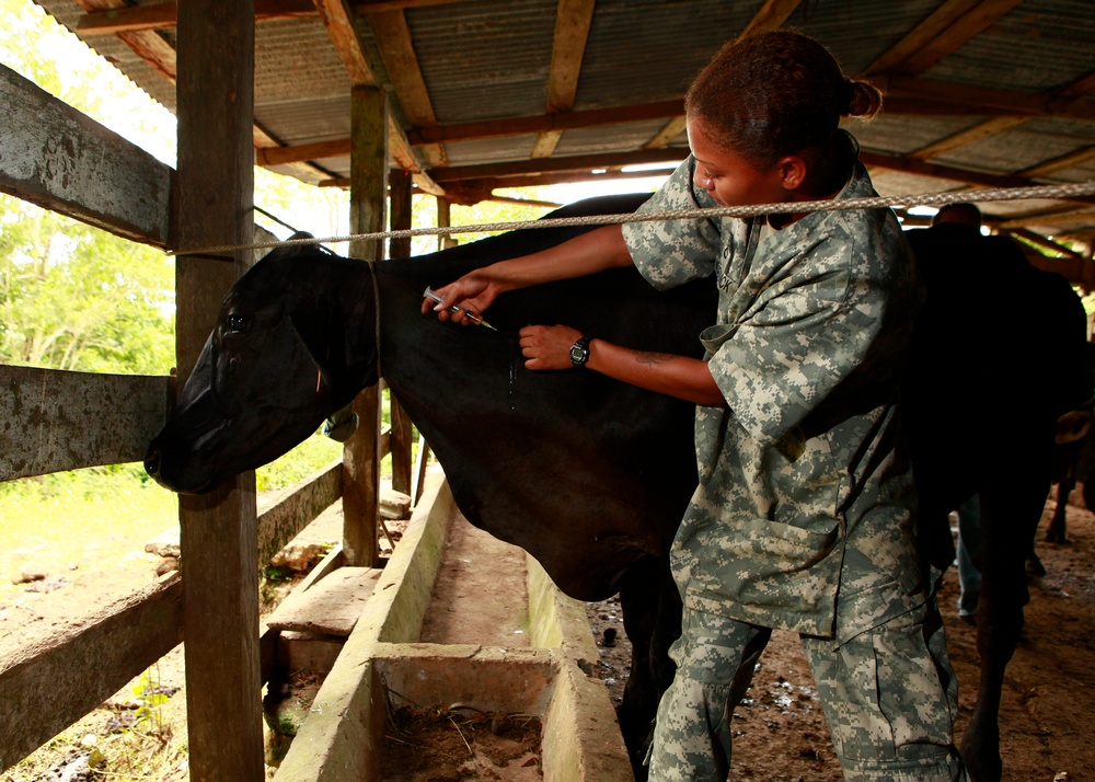 Operation Continuing Promise 2010