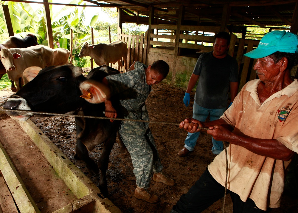 Operation Continuing Promise 2010