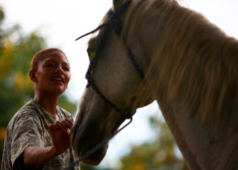 Operation Continuing Promise 2010