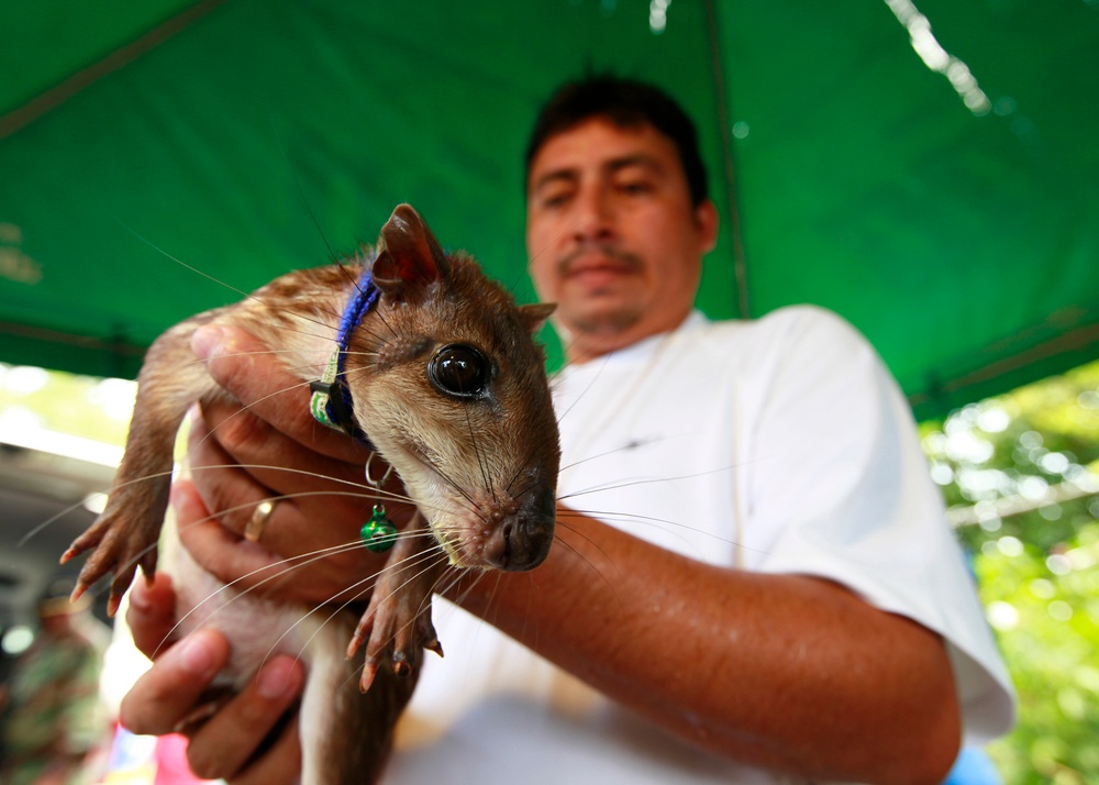 Operation Continuing Promise 2010