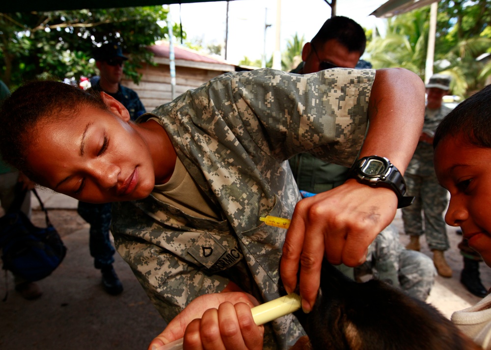 Operation Continuing Promise 2010