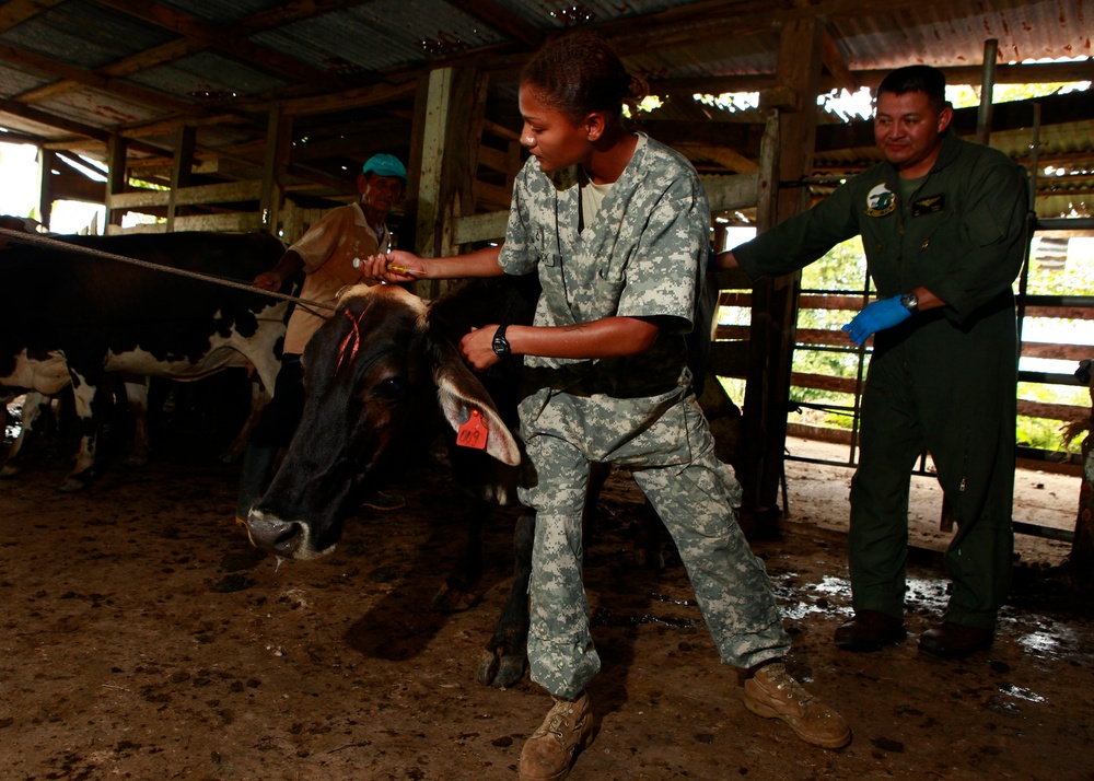 Operation Continuing Promise 2010