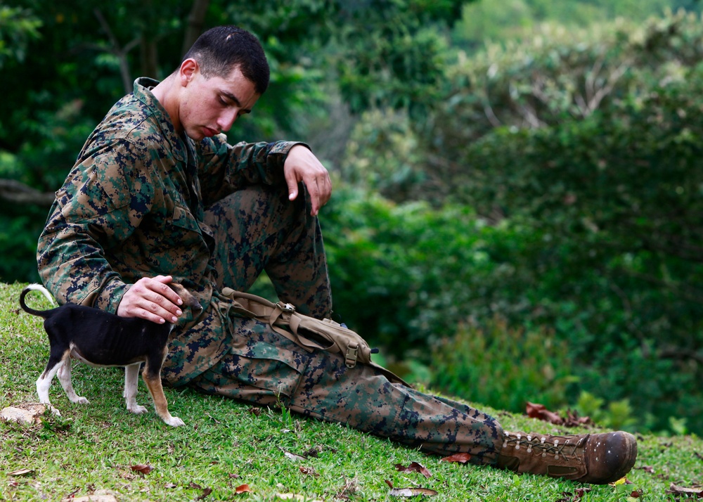 Operation Continuing Promise 2010