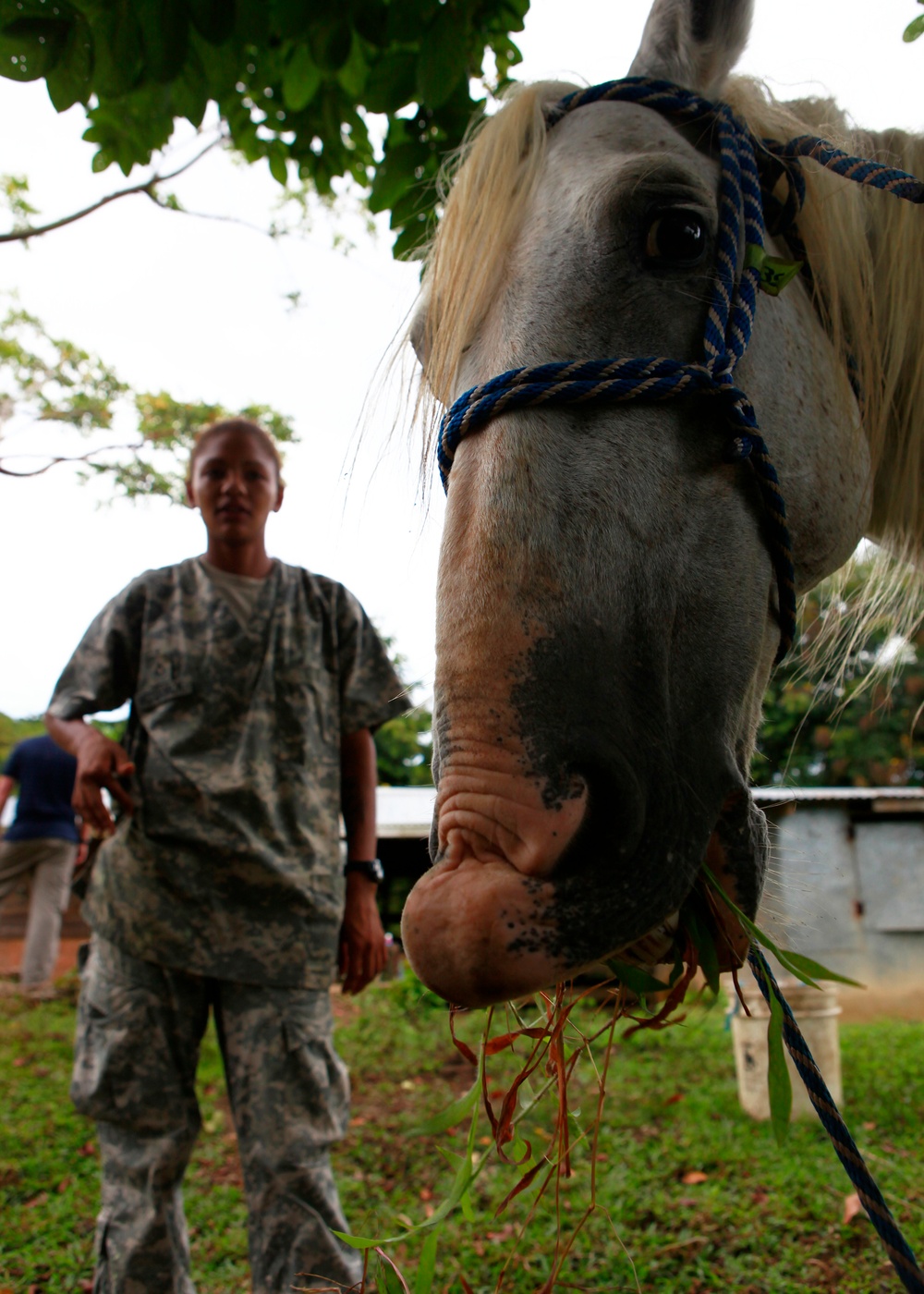 Operation Continuing Promise 2010