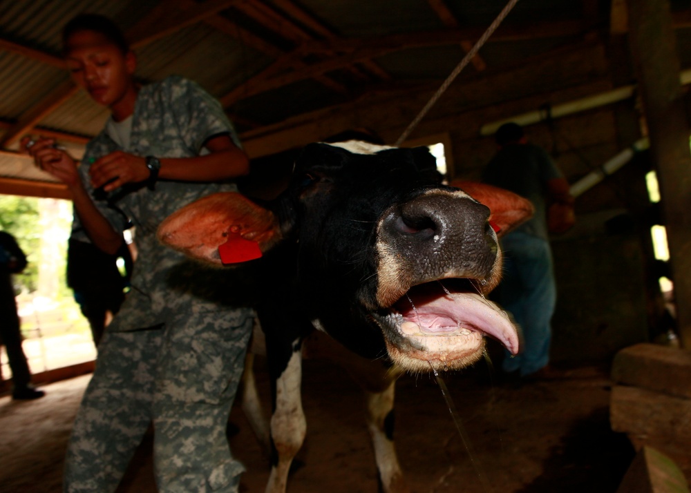 Operation Continuing Promise 2010