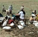 Pakistan Disaster Relief