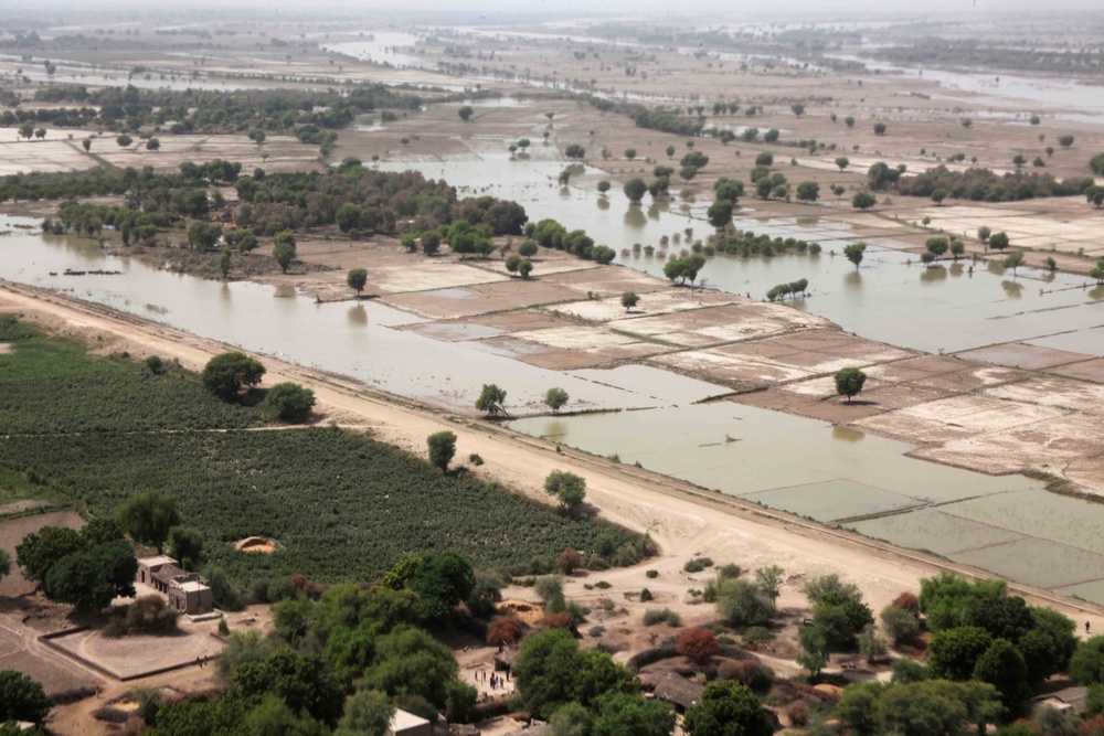 Pakistan Disaster Relief
