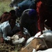 Pakistan Disaster Relief