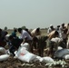 Pakistan Disaster Relief