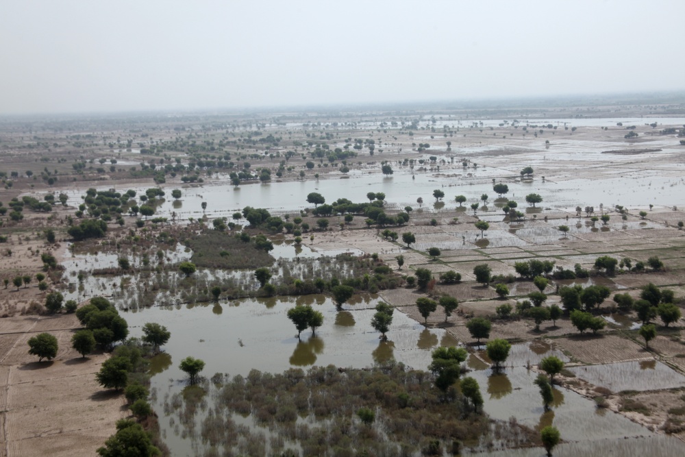 Pakistan Disaster Relief