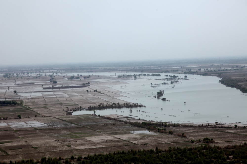 Pakistan Disaster Relief